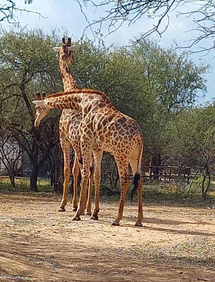 Апартаменты Kudus Crest Bush Retreat Марлот-Парк Экстерьер фото