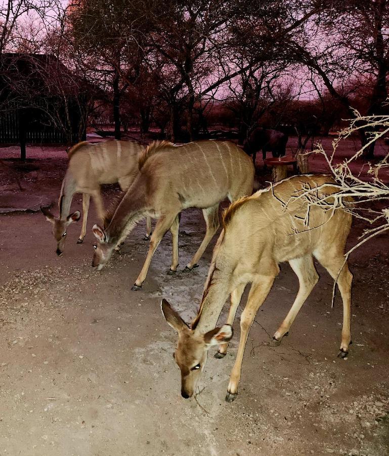 Апартаменты Kudus Crest Bush Retreat Марлот-Парк Экстерьер фото