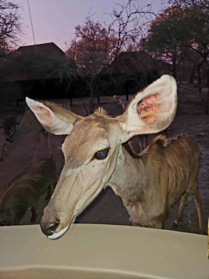 Апартаменты Kudus Crest Bush Retreat Марлот-Парк Экстерьер фото