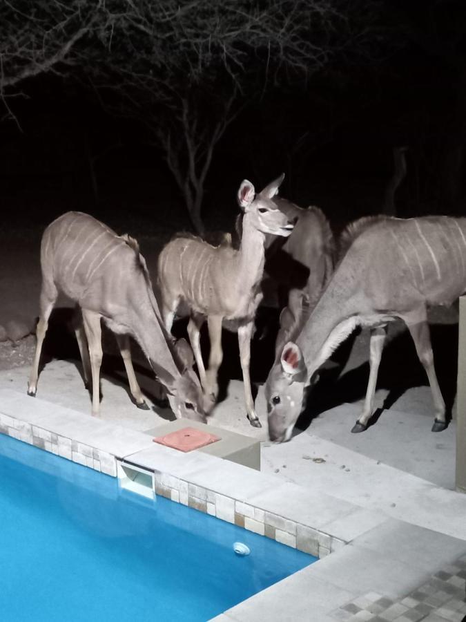 Апартаменты Kudus Crest Bush Retreat Марлот-Парк Экстерьер фото